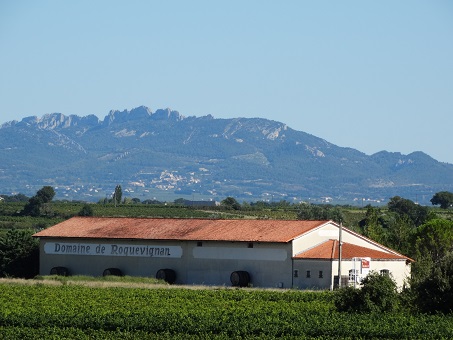 Domaine de Roquevignan