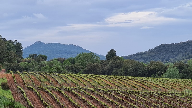 Domaine Saint Albert