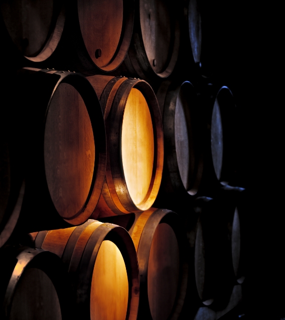 expert domaine viticole