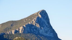Vignes Méditerranéennes près de Montpellier