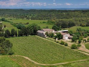 domaine viticole bio Languedoc