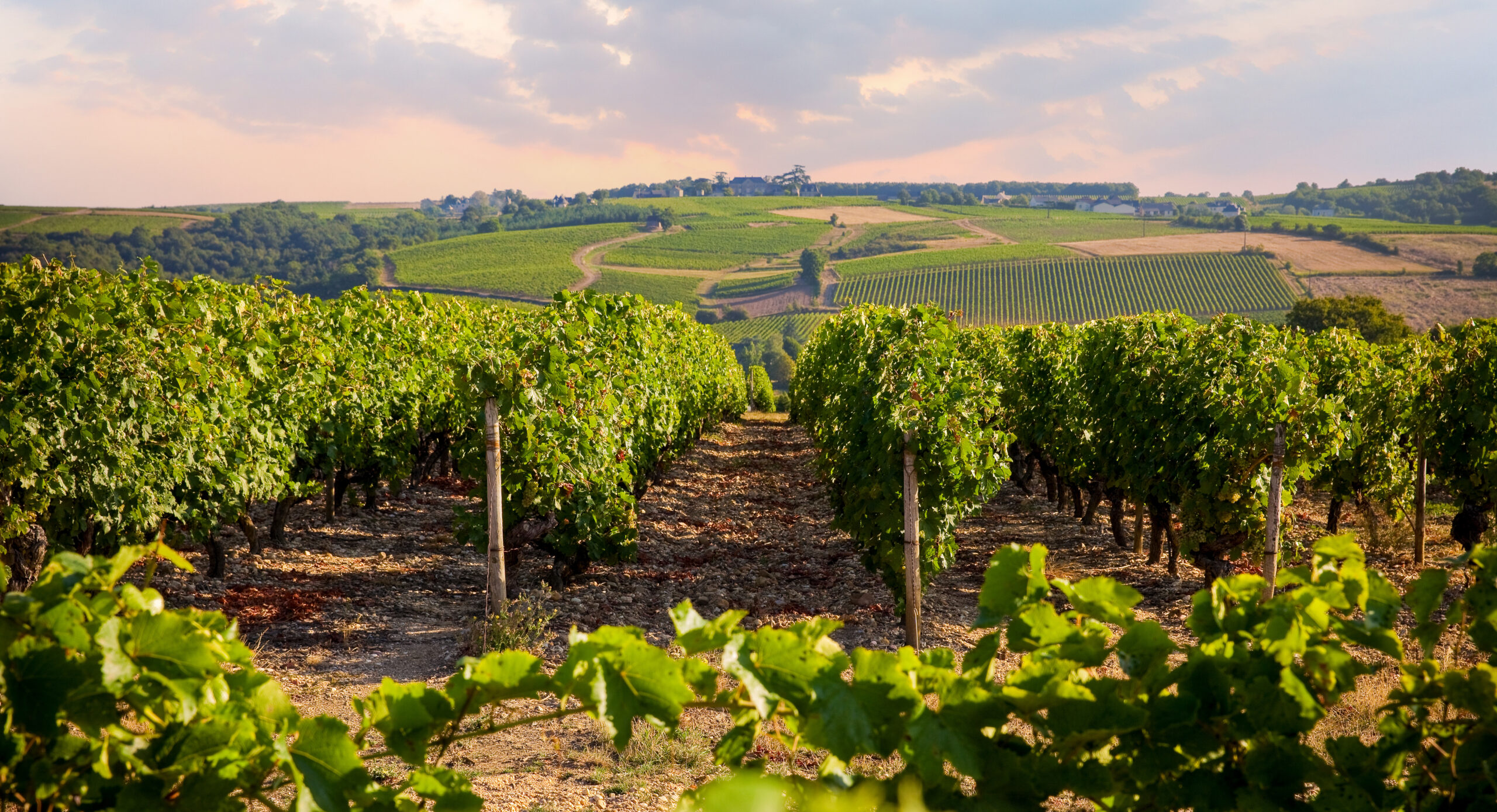 M&A ou acquisitions foncières