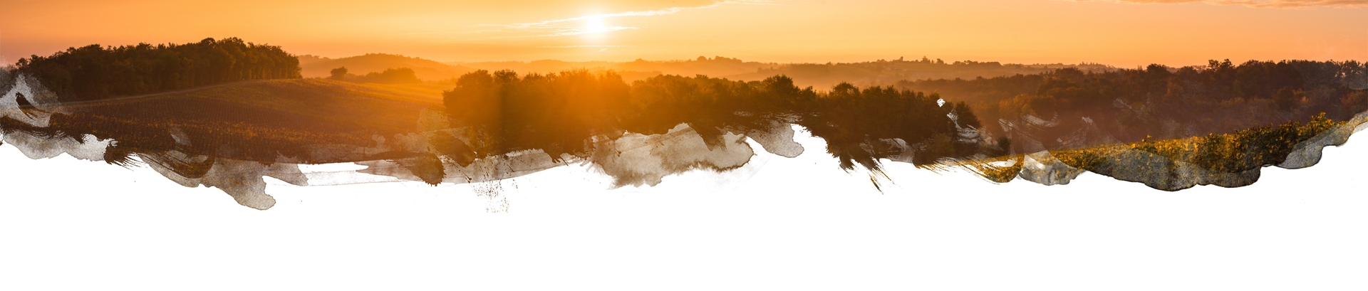 Prises de participation Wine Objectives