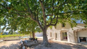 Bastide provençale au cœur du vignoble