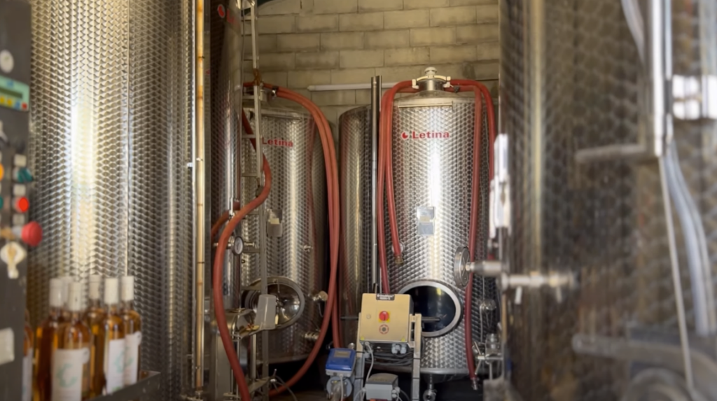 Vue dégagée sur le domaine viticole